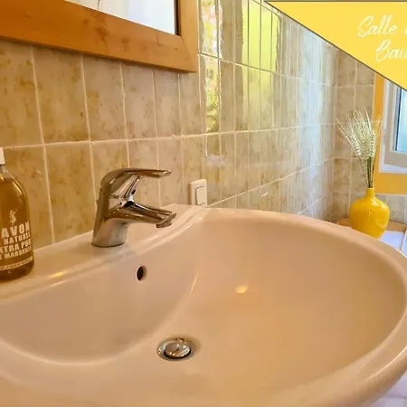 Vakantiehuis Annee 30 Renovee ,terrasse Et Jardin Souillac